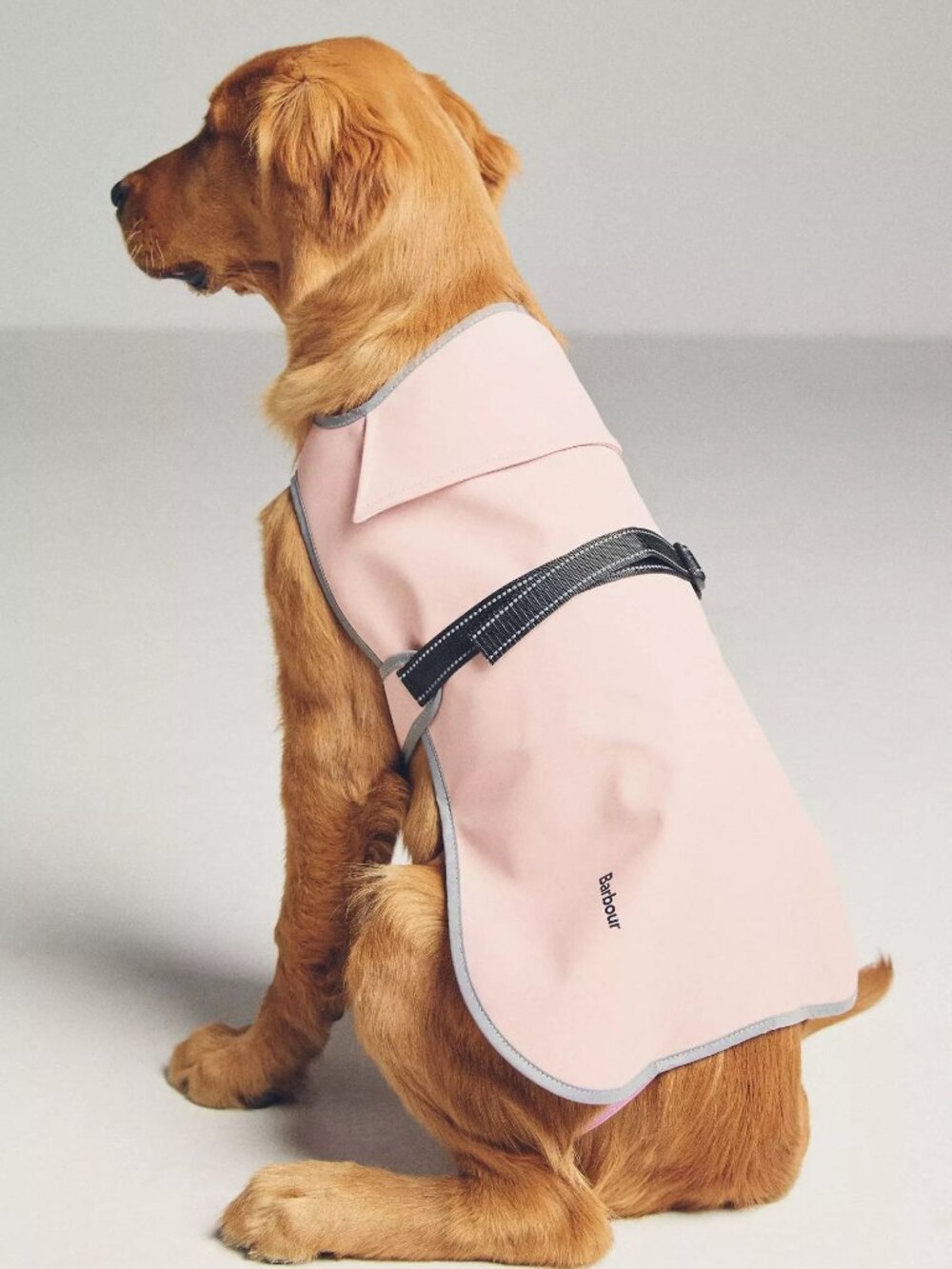 Barbour Evie Waterproof Dog Coat large